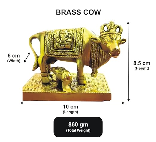 kamdhenu cow